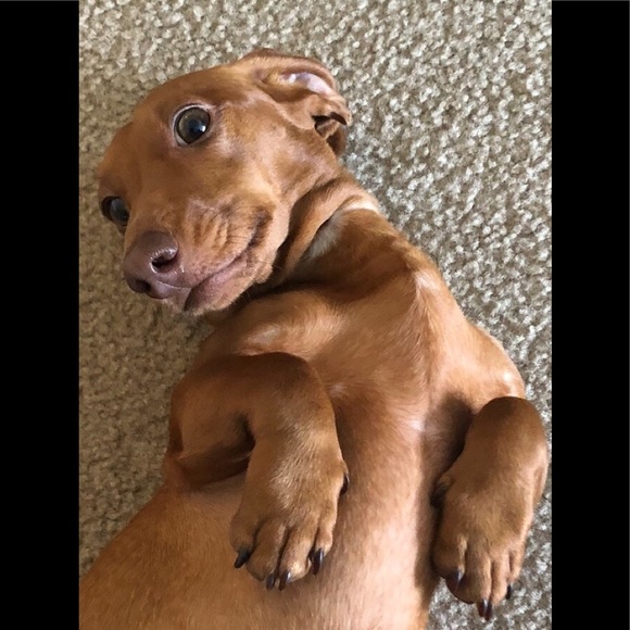 Meet your Posher, Tatyana - Picture 3 of 5